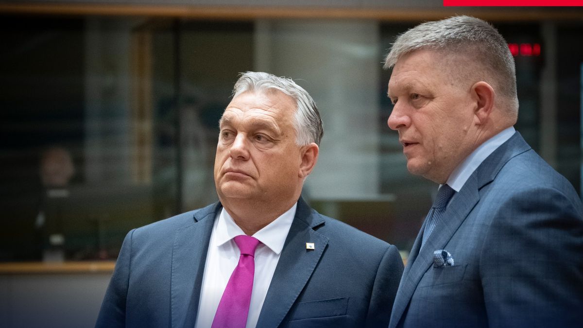 Fico: Slovensko a Maďarsko odmítají migrační pakt i zrušení práva veta v EU